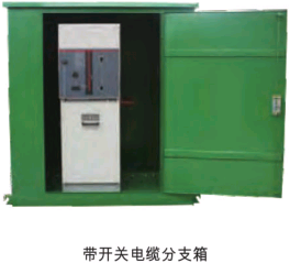 带开关电缆分支箱.png